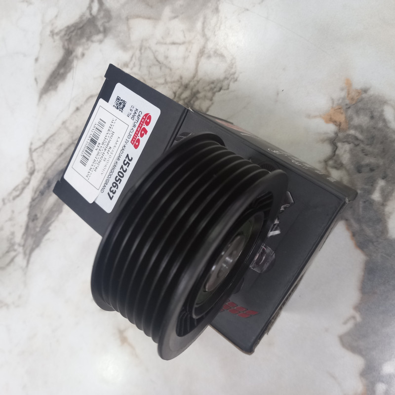 Renault Captur Alternatör Gergi Rulmanı 1.2 1.4 TCe 119230001R-119238274R